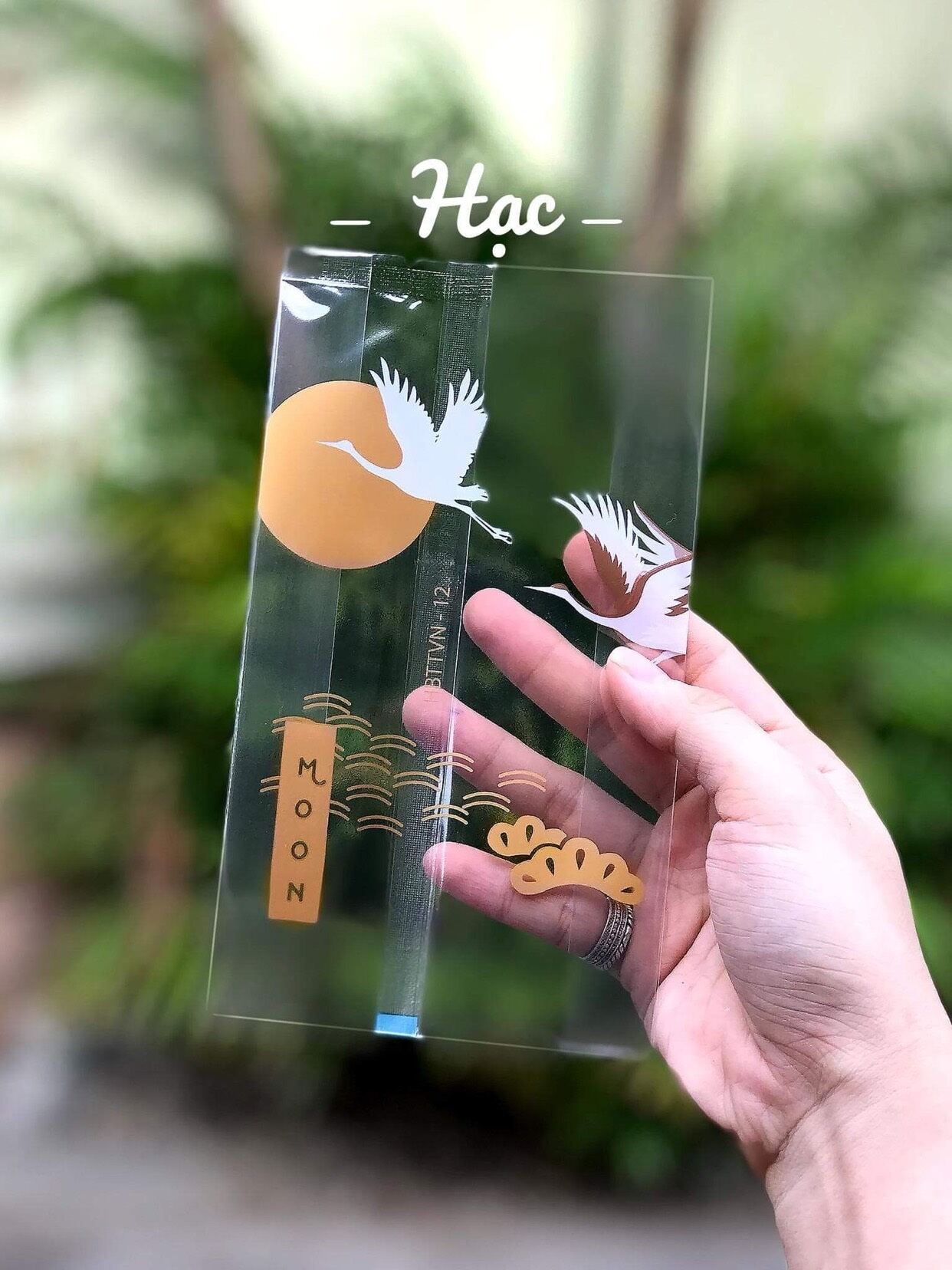 Túi đựng bánh trung thu 100c 150G/250G (khay riêng túi riêng)