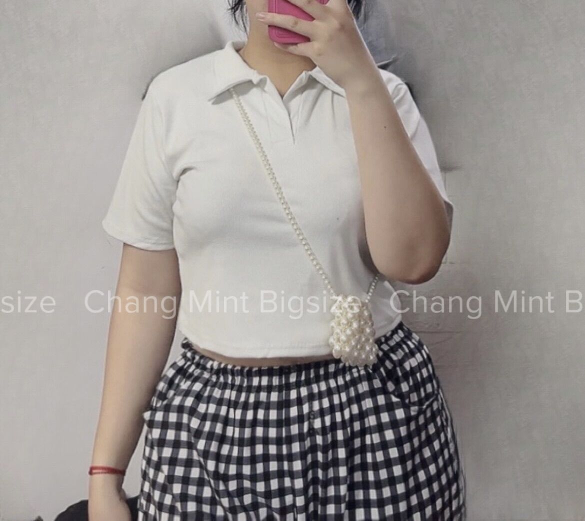 [THOBIGSIZE - ẢNH CHÍNH CHỦ] ÁO POLO TRƠN BIGSIZE 65-95kg