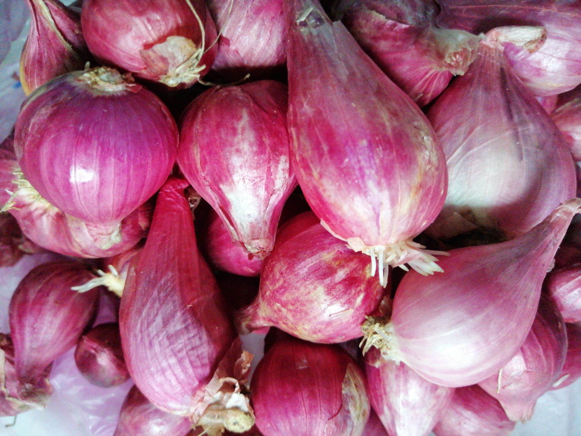 1kg hành củ tím, hành hương (đảo lý sơn  loại 1 củ to)