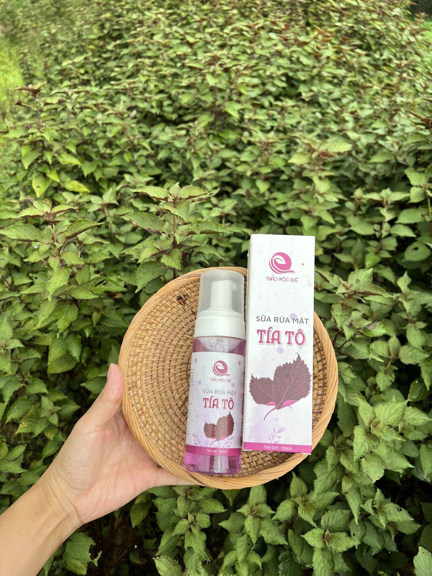 Sữa rửa mặt tạo bọt tía tô 150ml - sạch da , giảm mụn, thu nhỏ lỗ chân lông