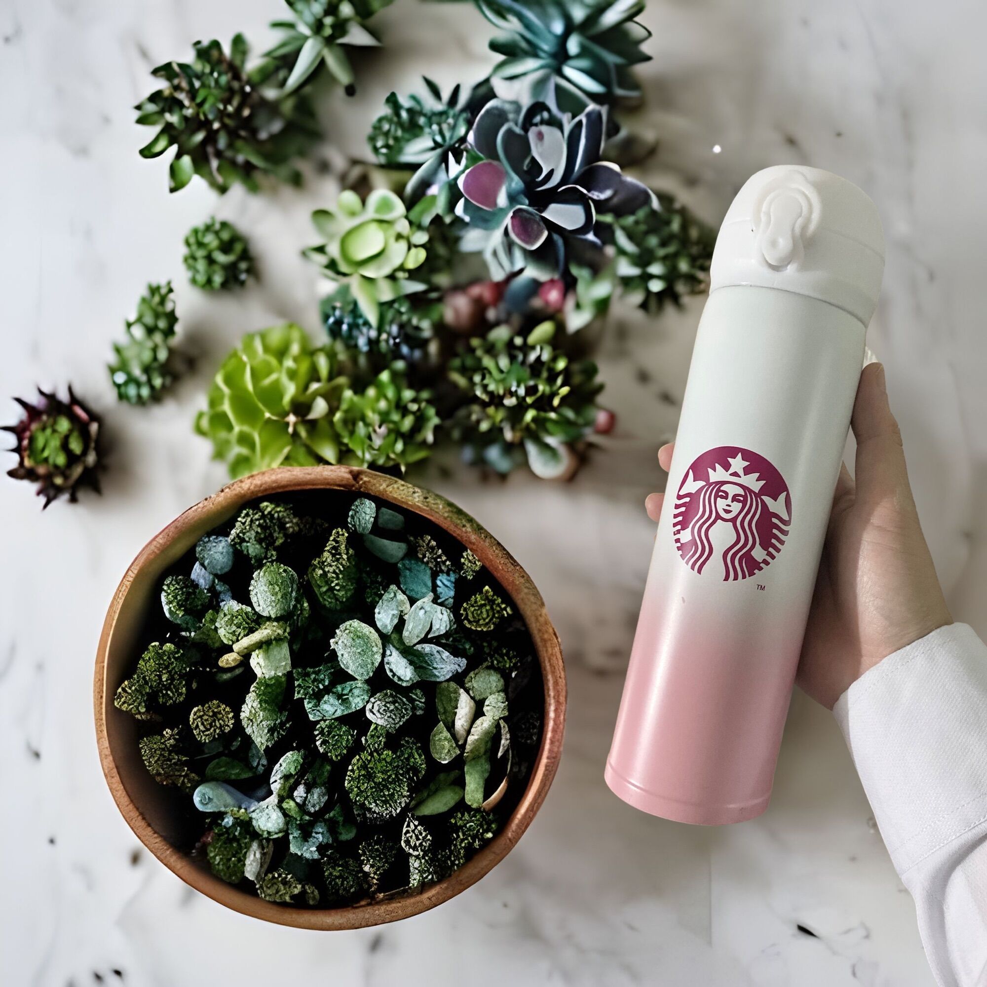 Bình giữ nhiệt Starbucks thermos inox 304 (450ml)