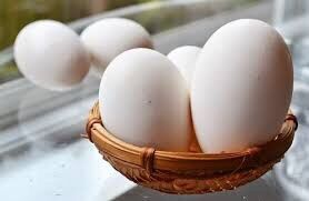 Trứng ngỗng vườn 1 trứng