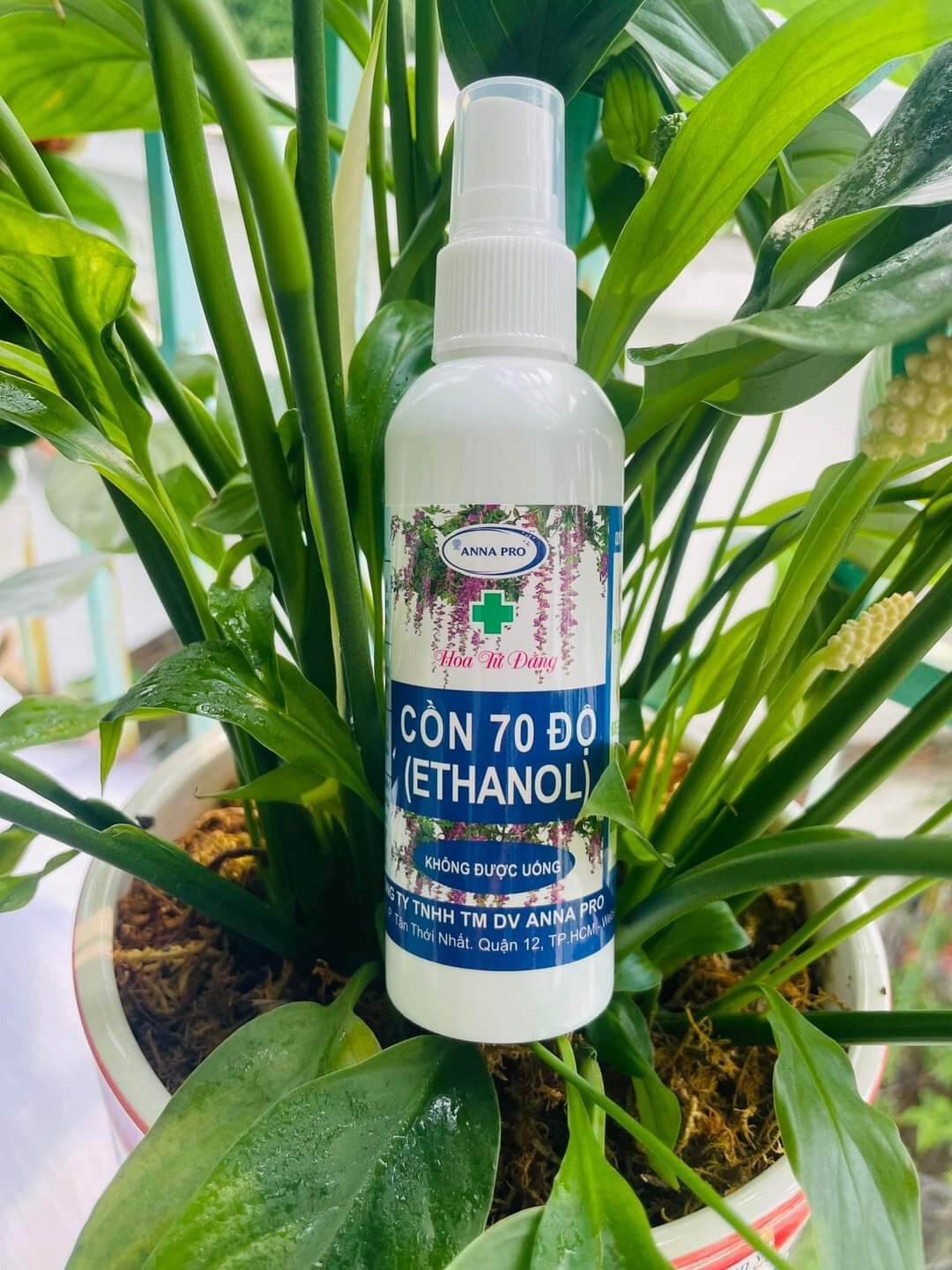 Xịt khử khuẩn Anna pro 100 ml