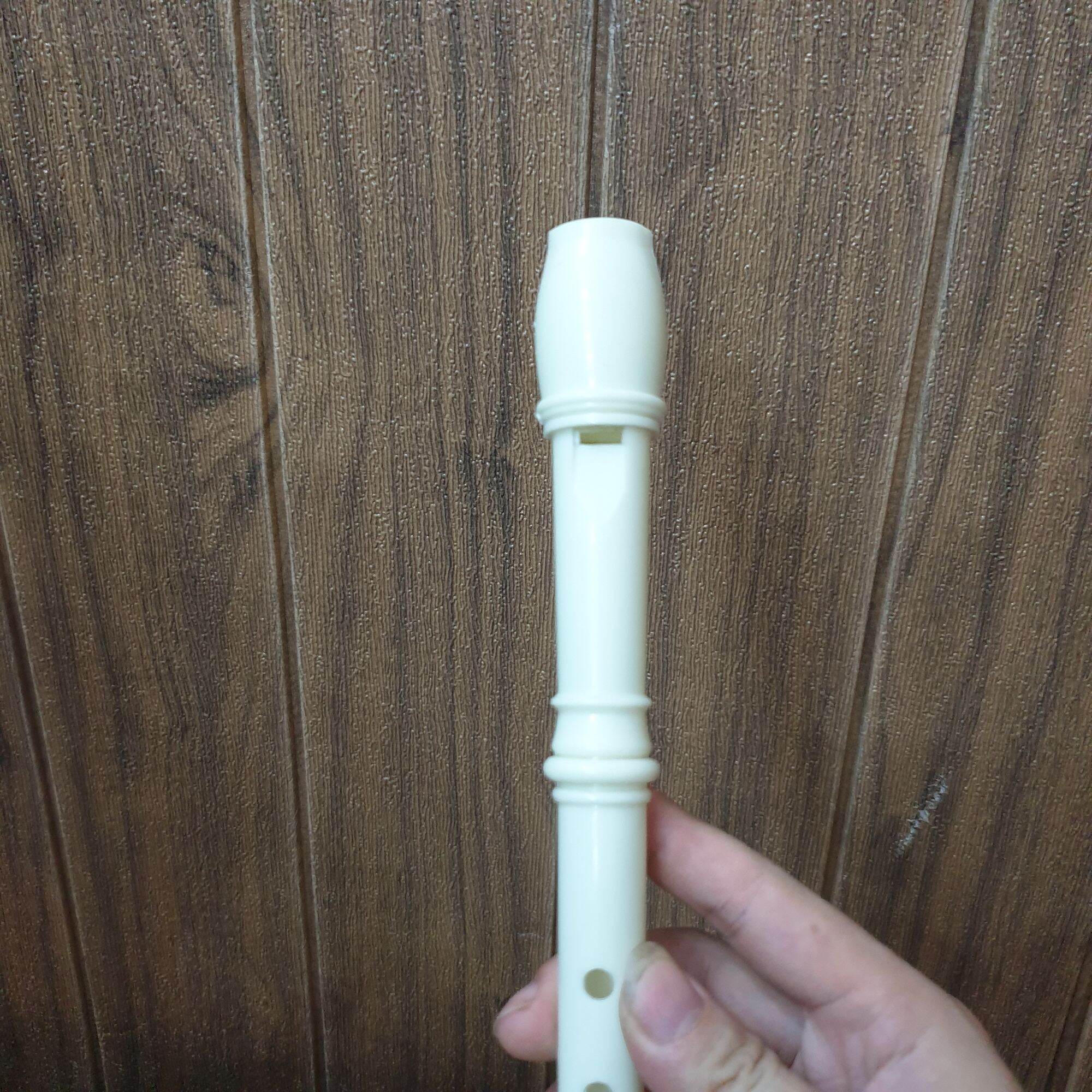 Sáo dọc recoder 6 lỗ bấm dễ thổi