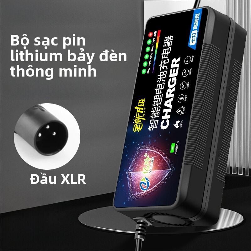 Smart Original Lithium Battery Charger 48V for Electric Vehicle 2A 3A Three Stage Charging Mode Suit