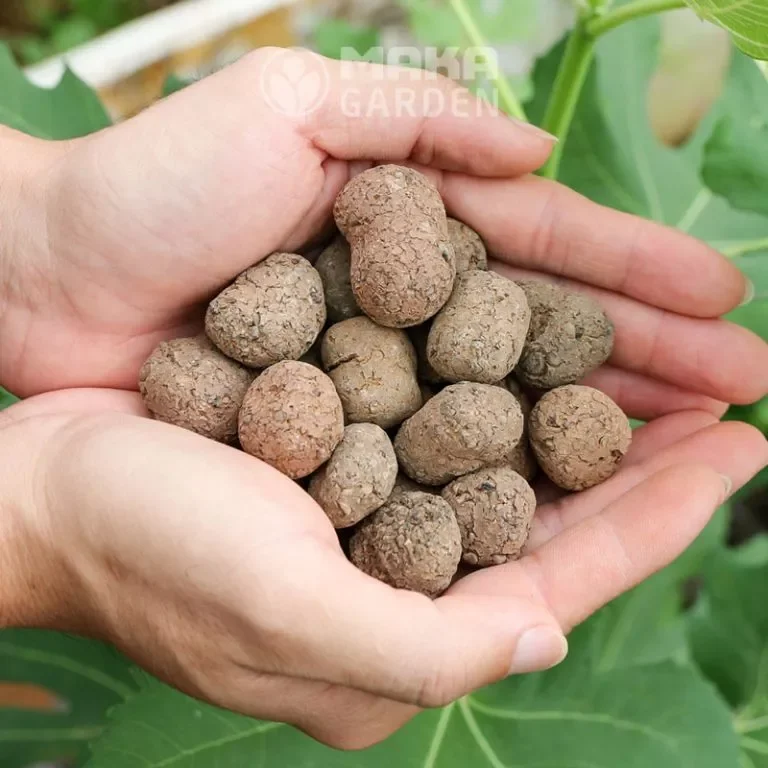 500gr sỏi nhẹ - đất sét nung trồng cây