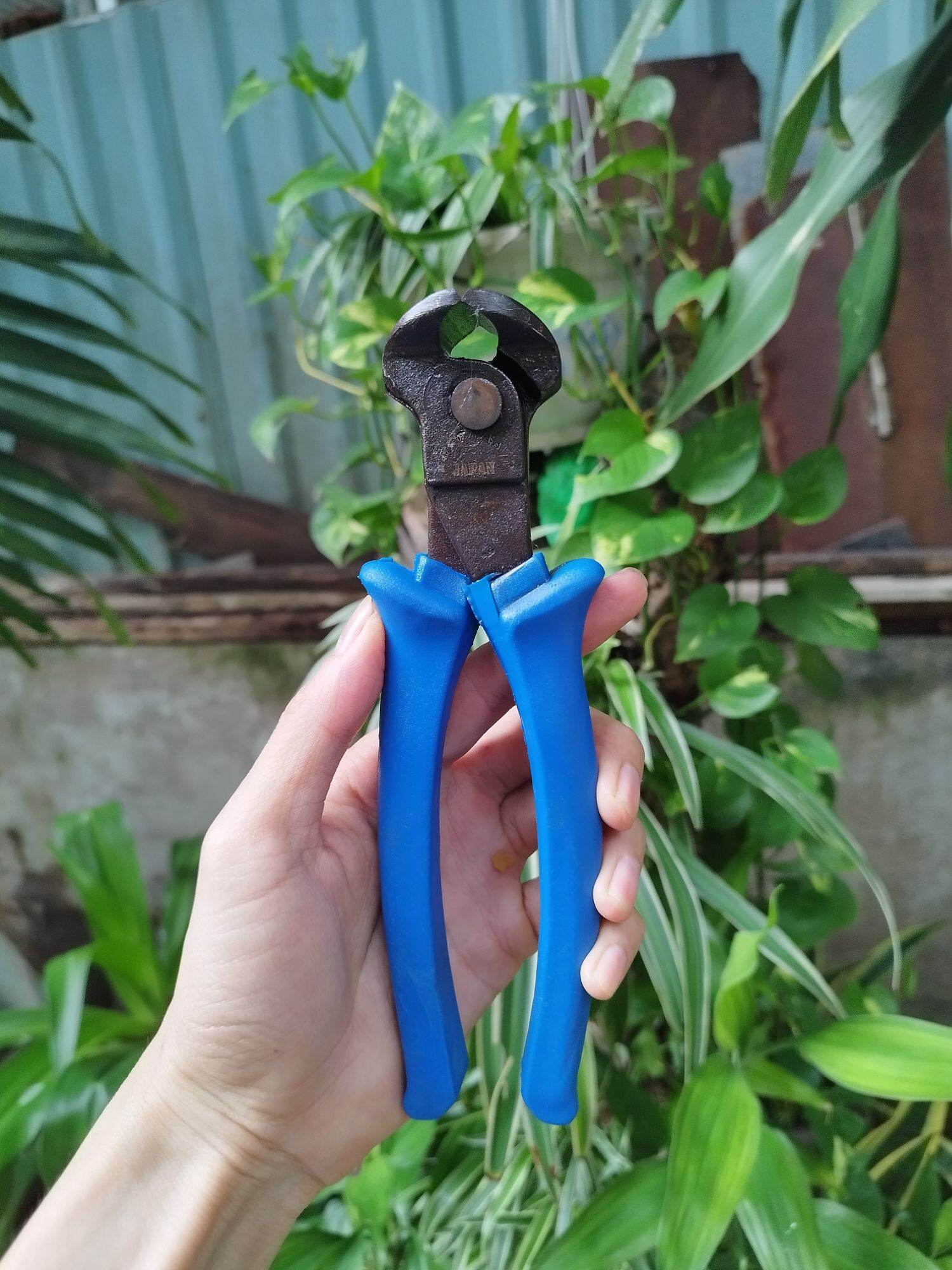 kìm cắt mép ( kìm cua) 8in