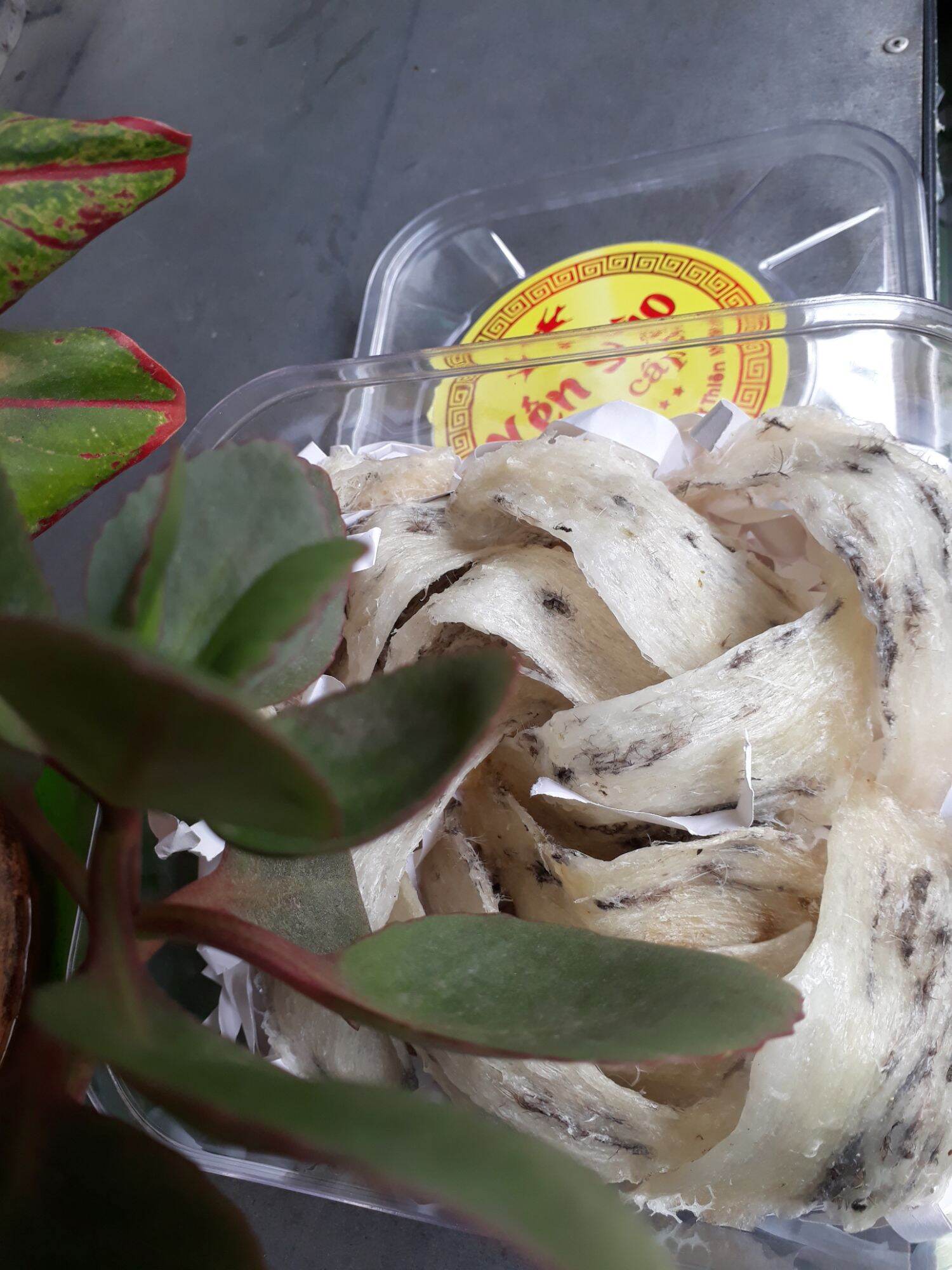 Tổ yến sào thô nhà nuôi - 100g