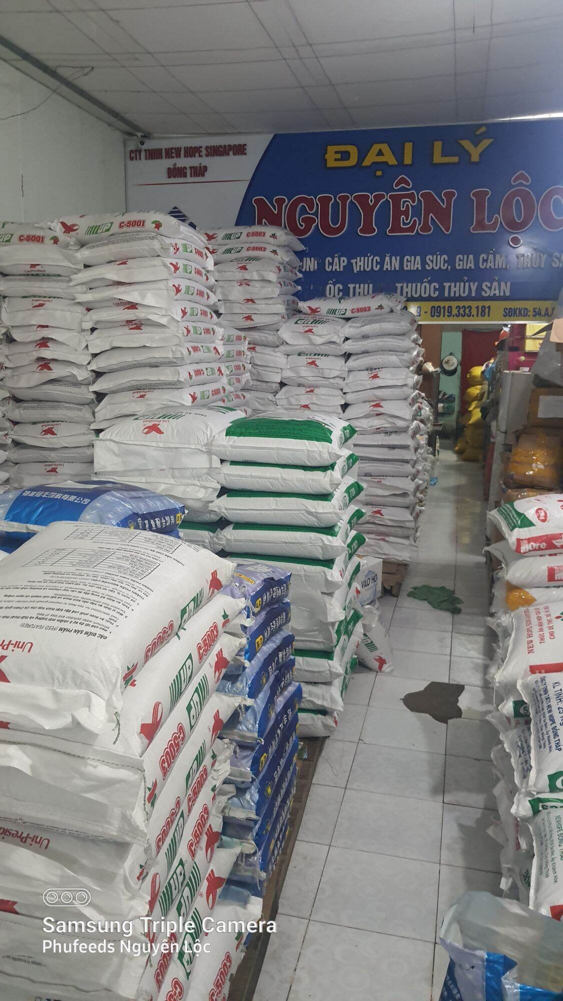 5kg cám cá chình cho lươn bột