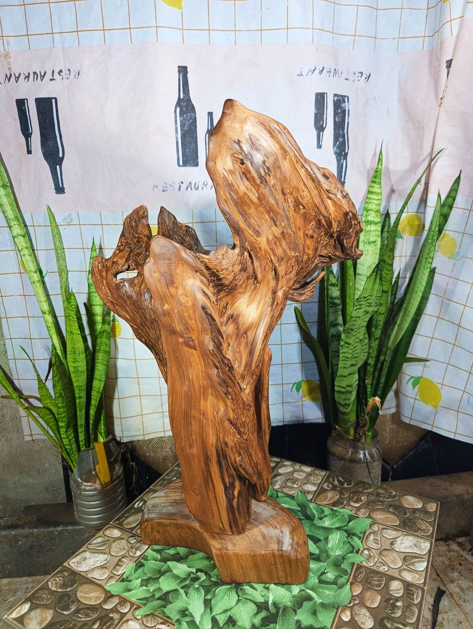 lũa ngọc am đỏ hà giang