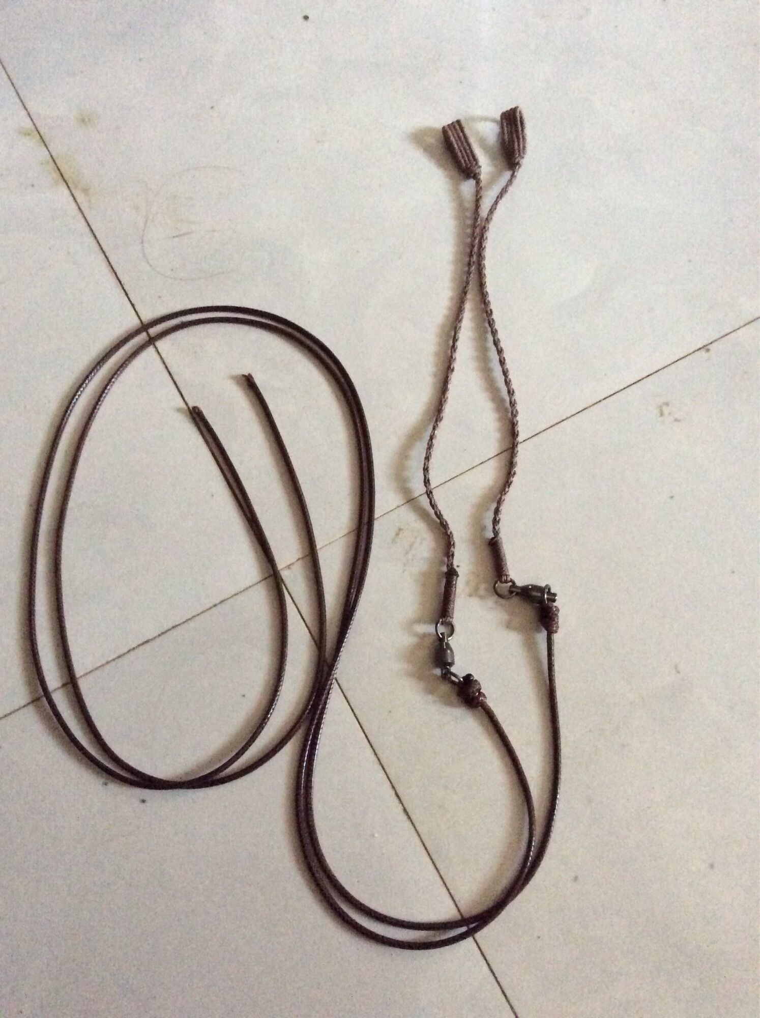 Xích chân gà tre gà rừng