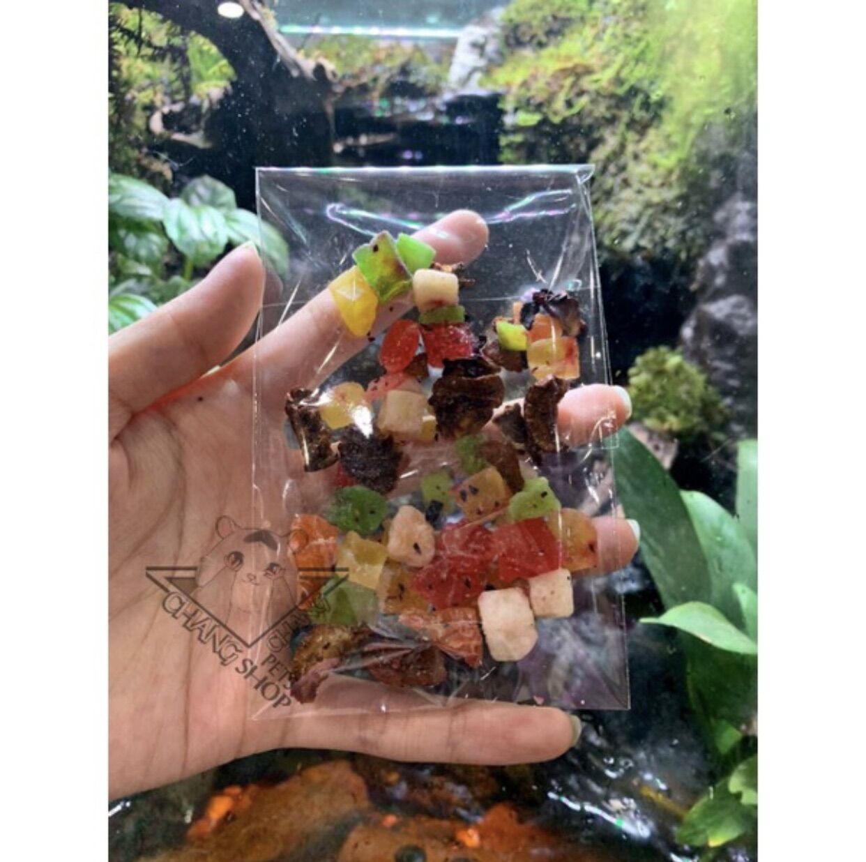 Trái cây sấy dẻo dành cho hamster