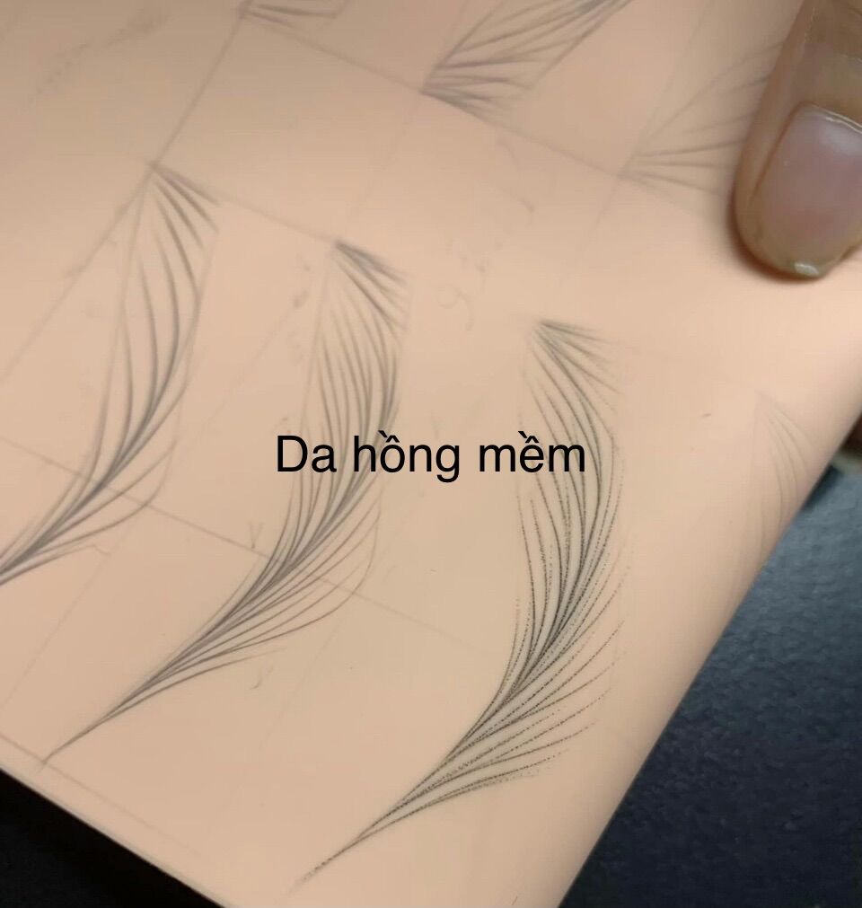 Da Giả Tập Phun Xăm Thẩm Mỹ
