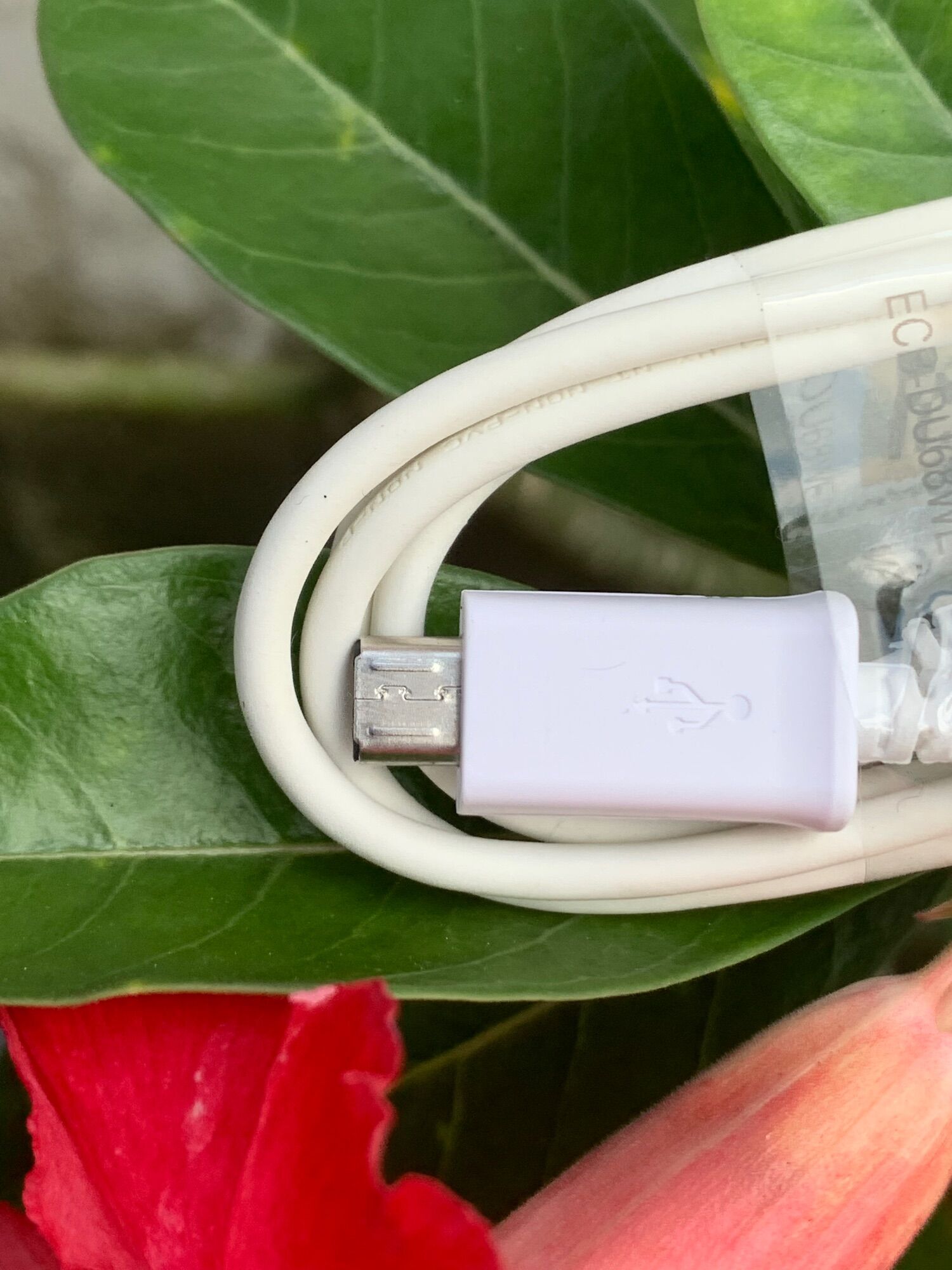 Cáp Micro hàng công ty(cáp sịn giá rẻ)