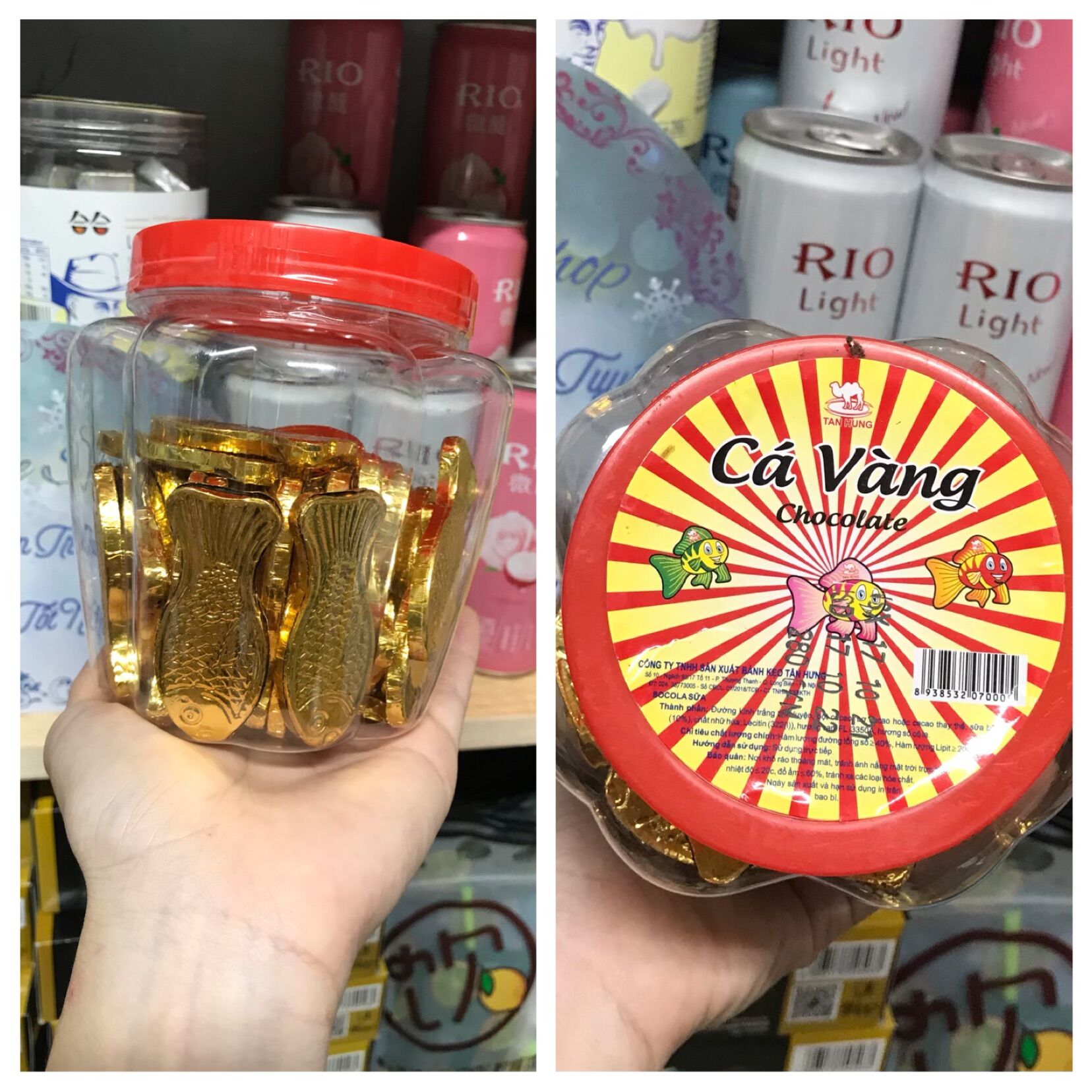 Kẹo Socola Hình Cá Vàng