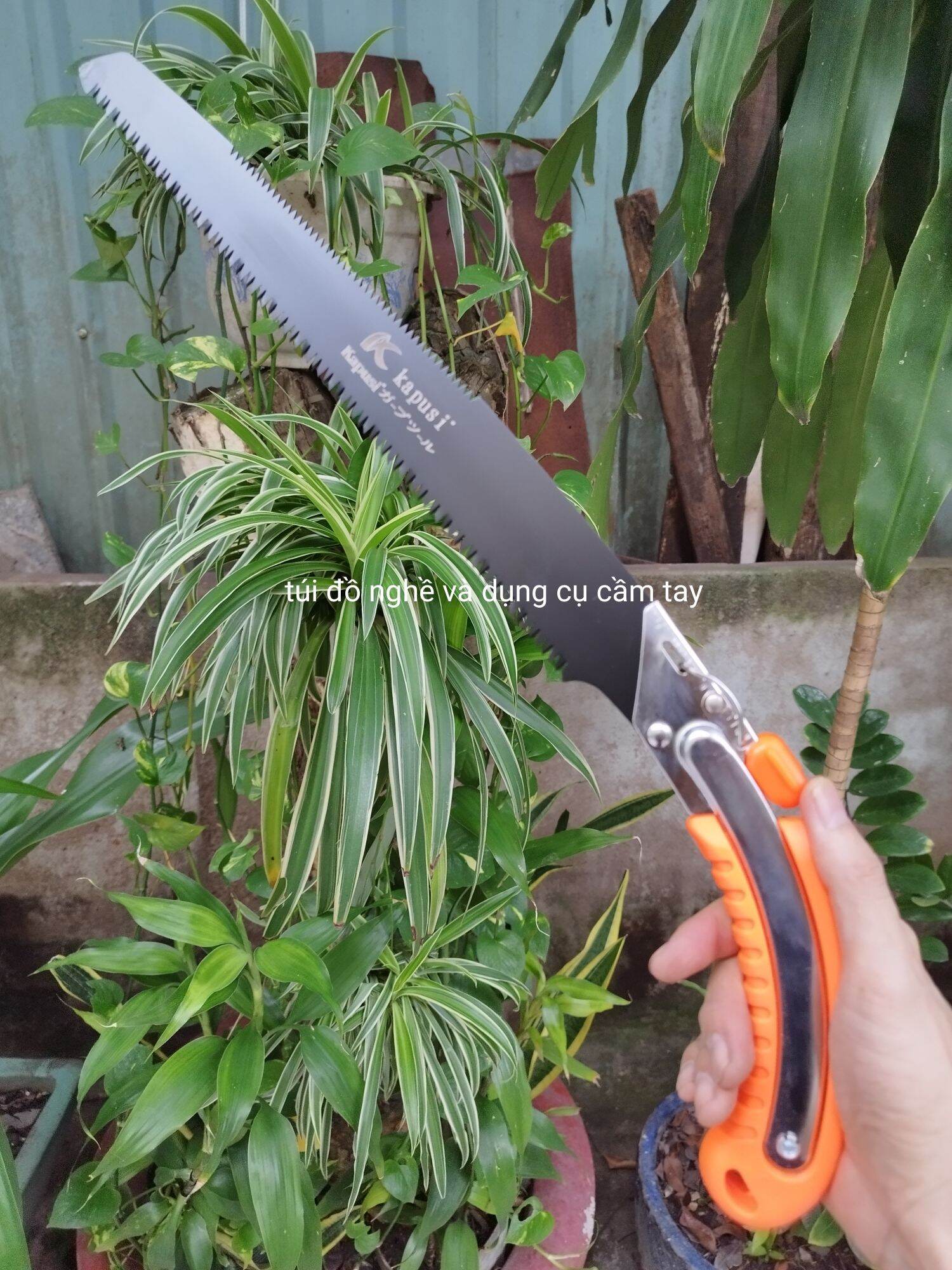 CƯA CẦM TAY KAPUSI CAO CẤP