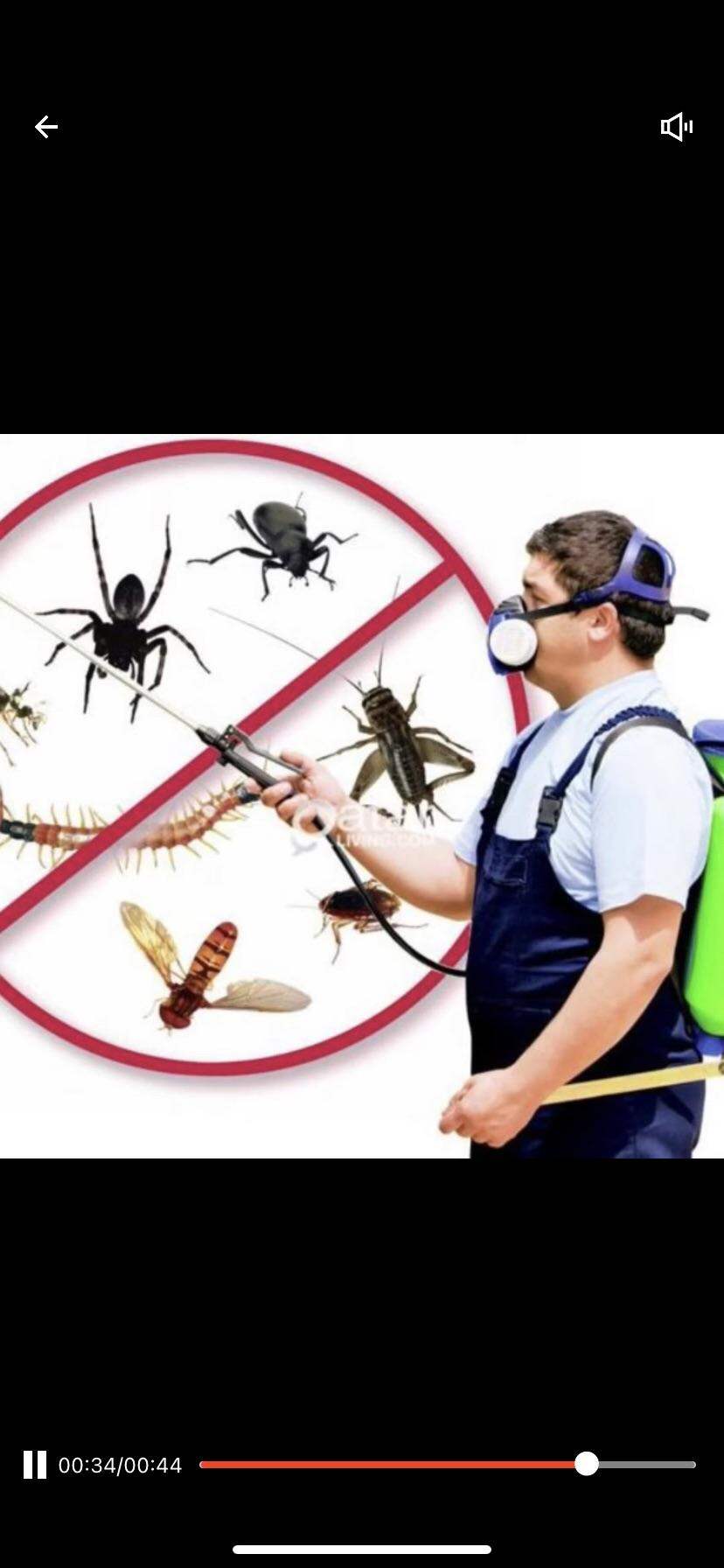 Thuốc diệt ruồi xanh Rado 20g .Tổng Kho Mối Muỗi Miền Bắc