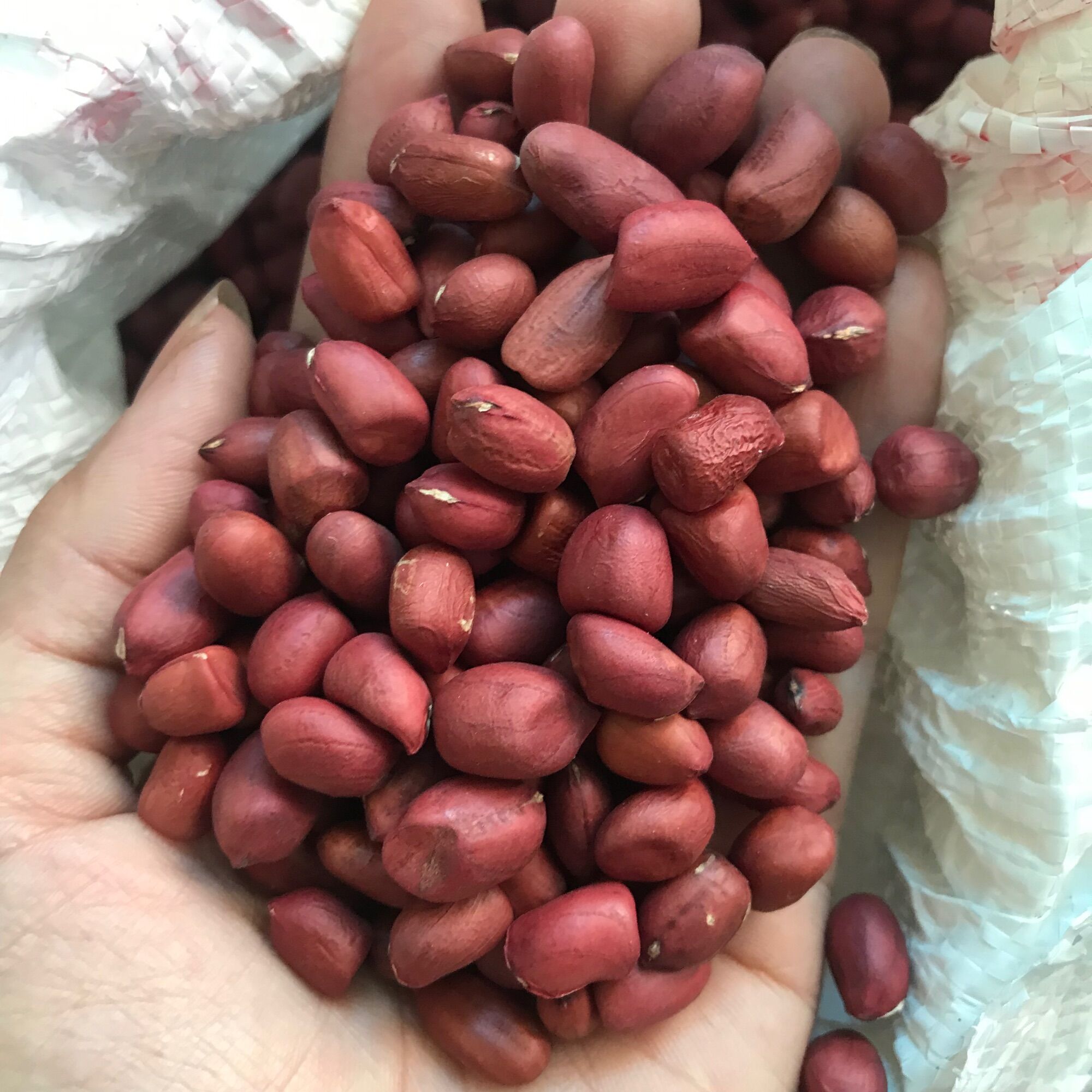Lạc đỏ nương Điện Biên ăn bùi, đậm vị gói 1kg