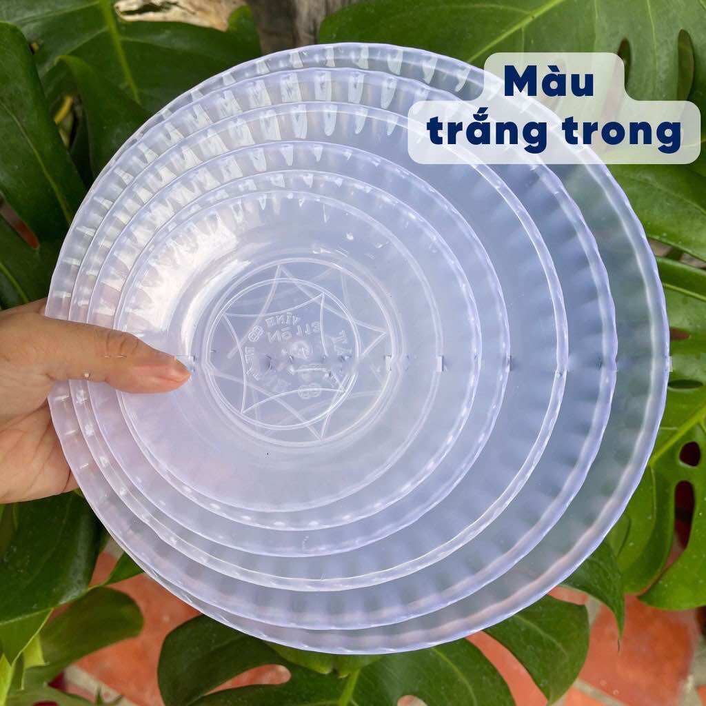 🏵️Set 10 Dĩa NHỰA Trong, Dẻo, Dĩa Sâu (Nhiều Kích Thước)