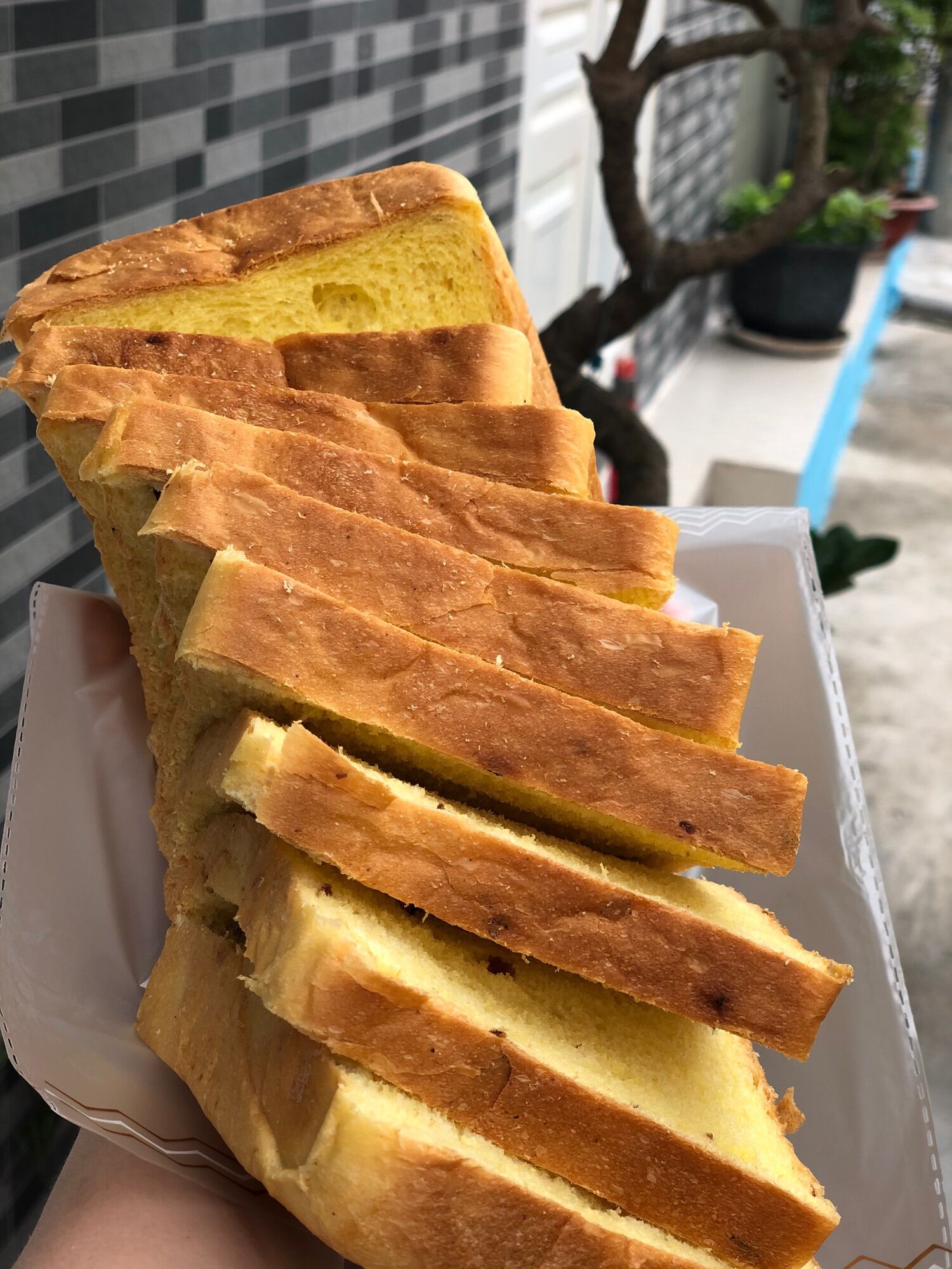 Bánh sandwich nho 370G