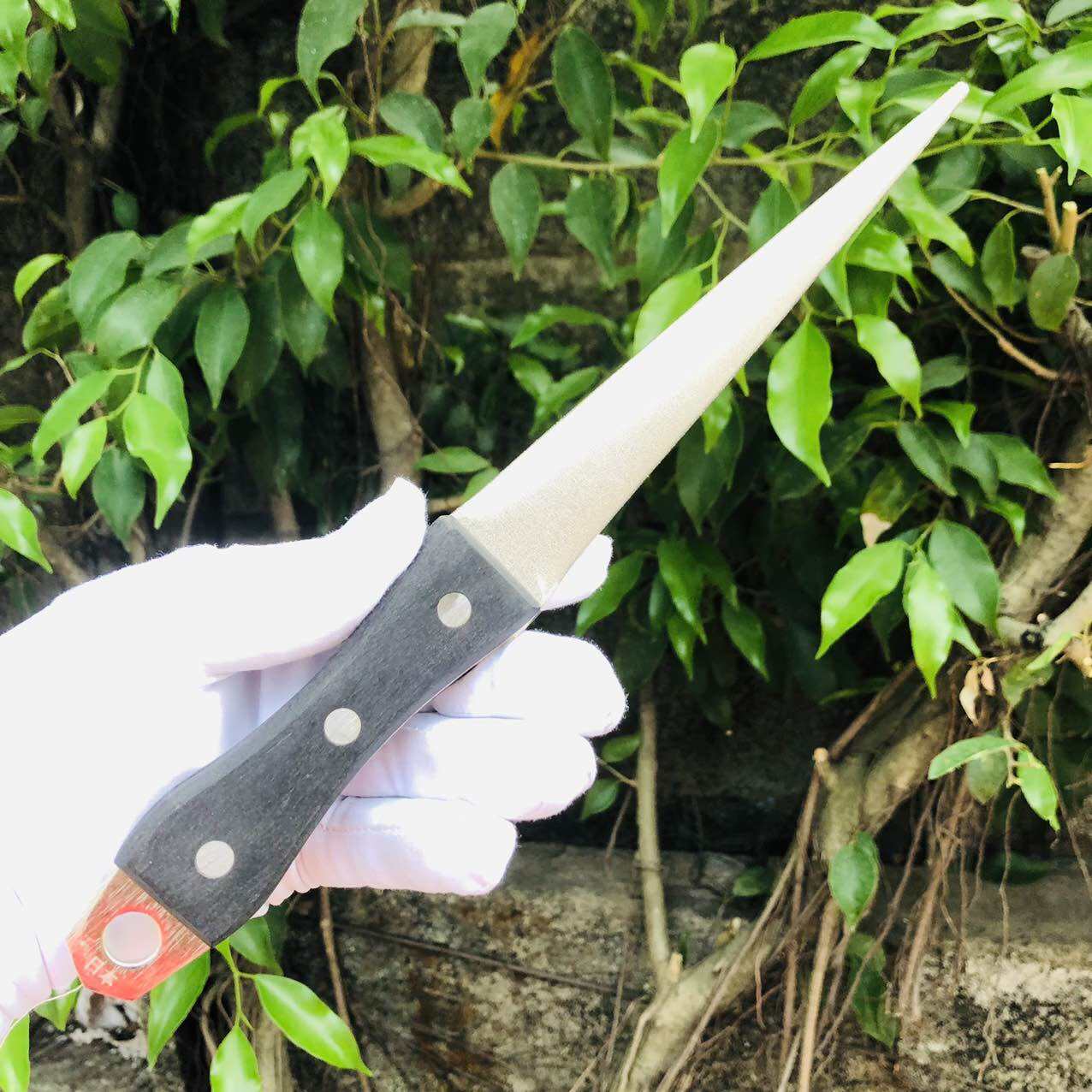 Giũa kim cương mài dao Nhật dài 27cm