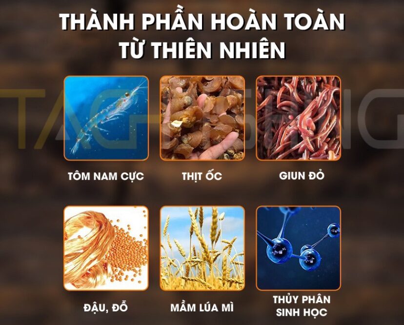 MỒI CÂU CÁ DIẾC CHÉP LÃO QUỶ XANH VỊ TANH