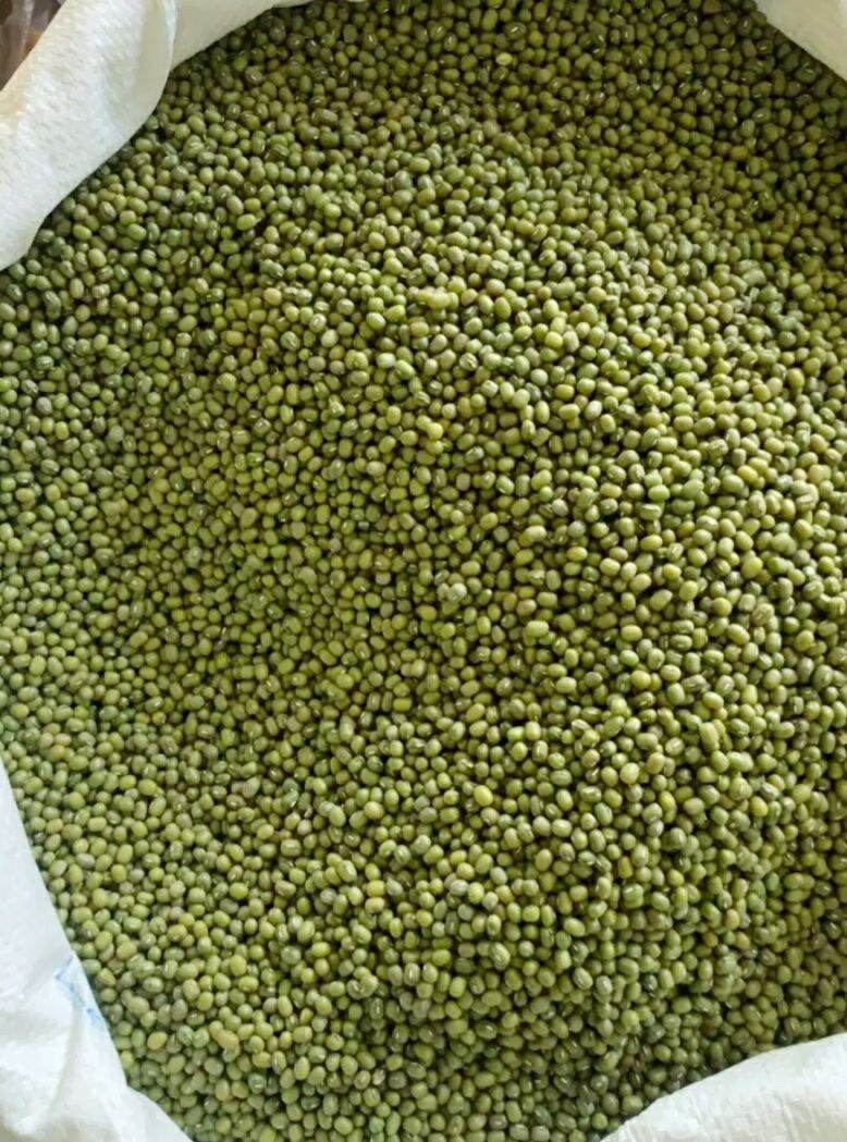 1kg đậu xanh hạt làm giá