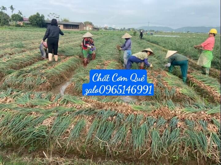 500g hành phi loại đặt biệt 70k