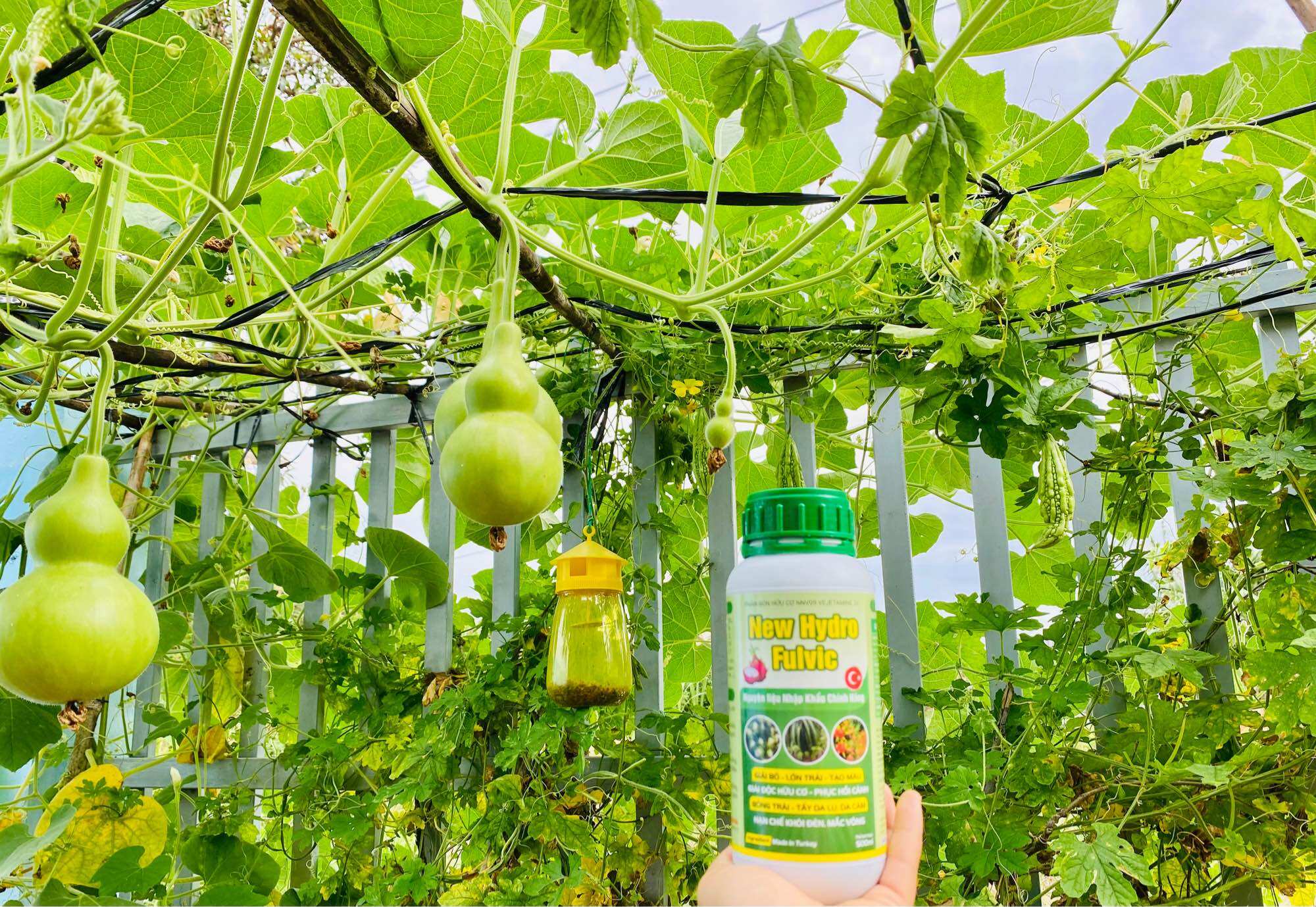 Phân bón hữu cơ Hydro Fulvic