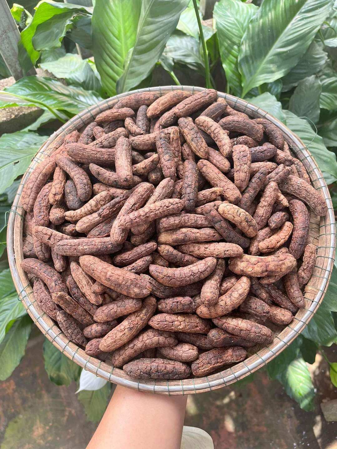 chuối hột phơi khô ngâm rượu 500g