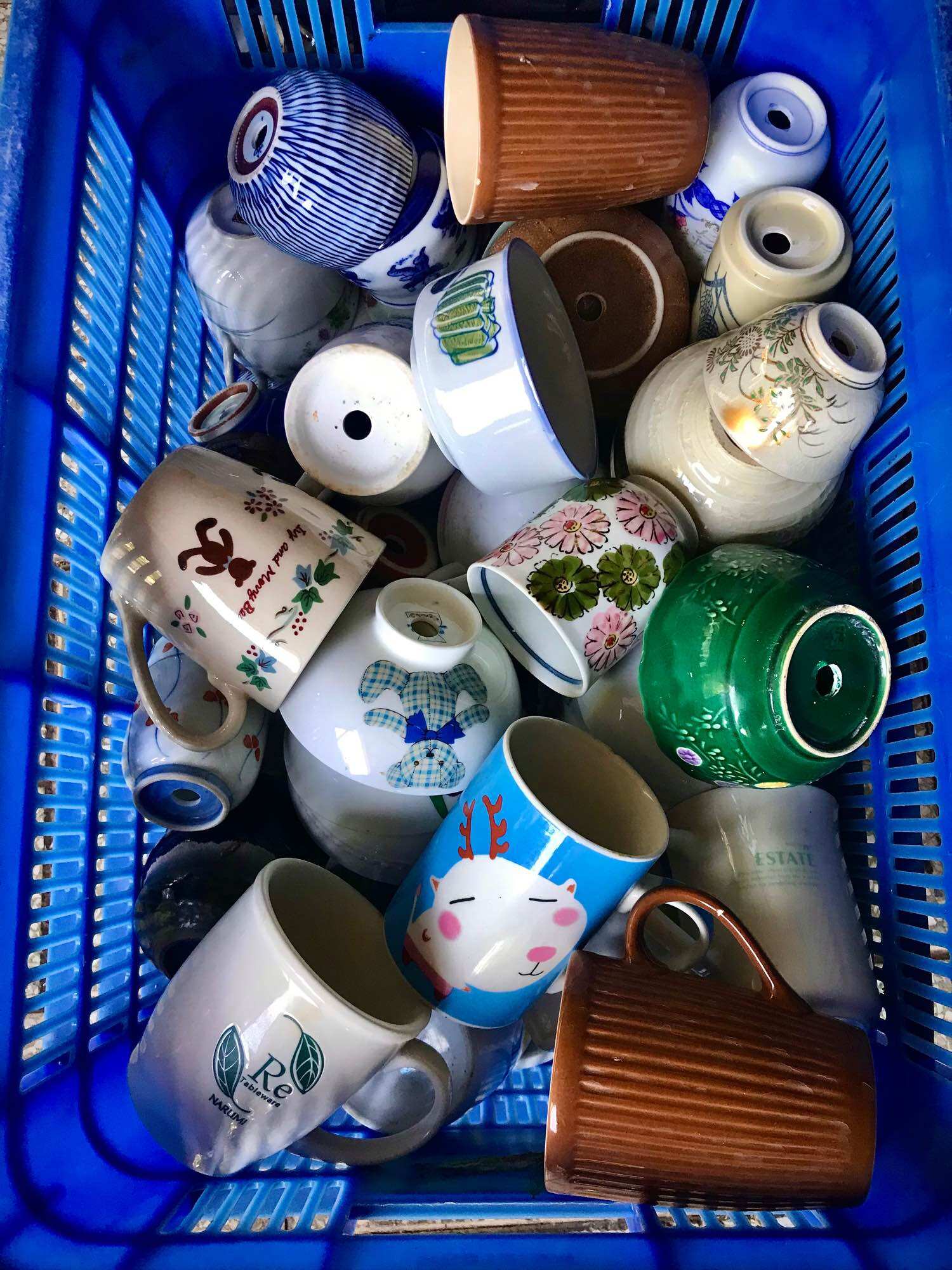 Chậu trồng cây sen đá hàng lỗi ngẫu nhiên