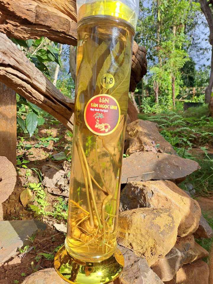 Sâm Ngọc Linh ngâm rượu 1,8 lít một bình