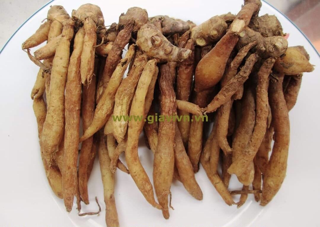 Củ Ngãi bún tươi 1kg