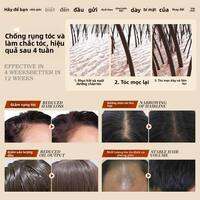 LIDAORIJI | Dầu Gội Chống Rụng Tóc  Chăm Sóc Da Đầu