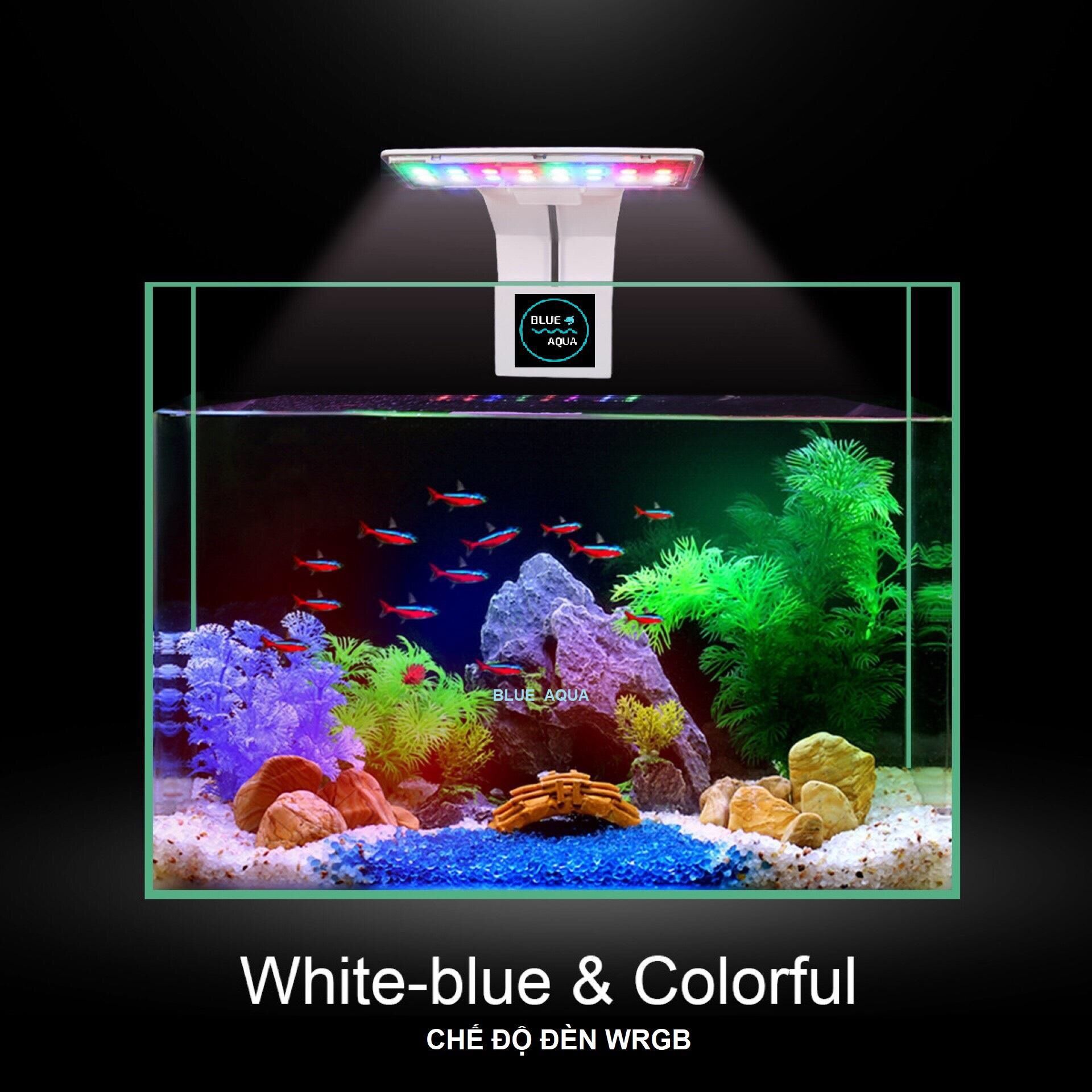[HCM]ĐÈN KẸP LED WRGB MINI CHO HỒ CÁ NHỎ