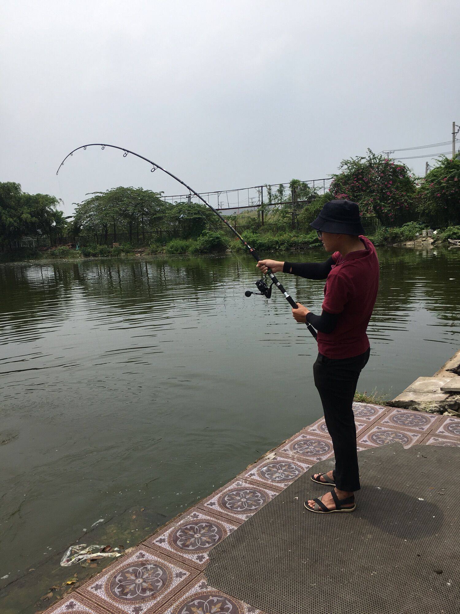 Chùm Nho Câu Cá Lưỡi CACBON
