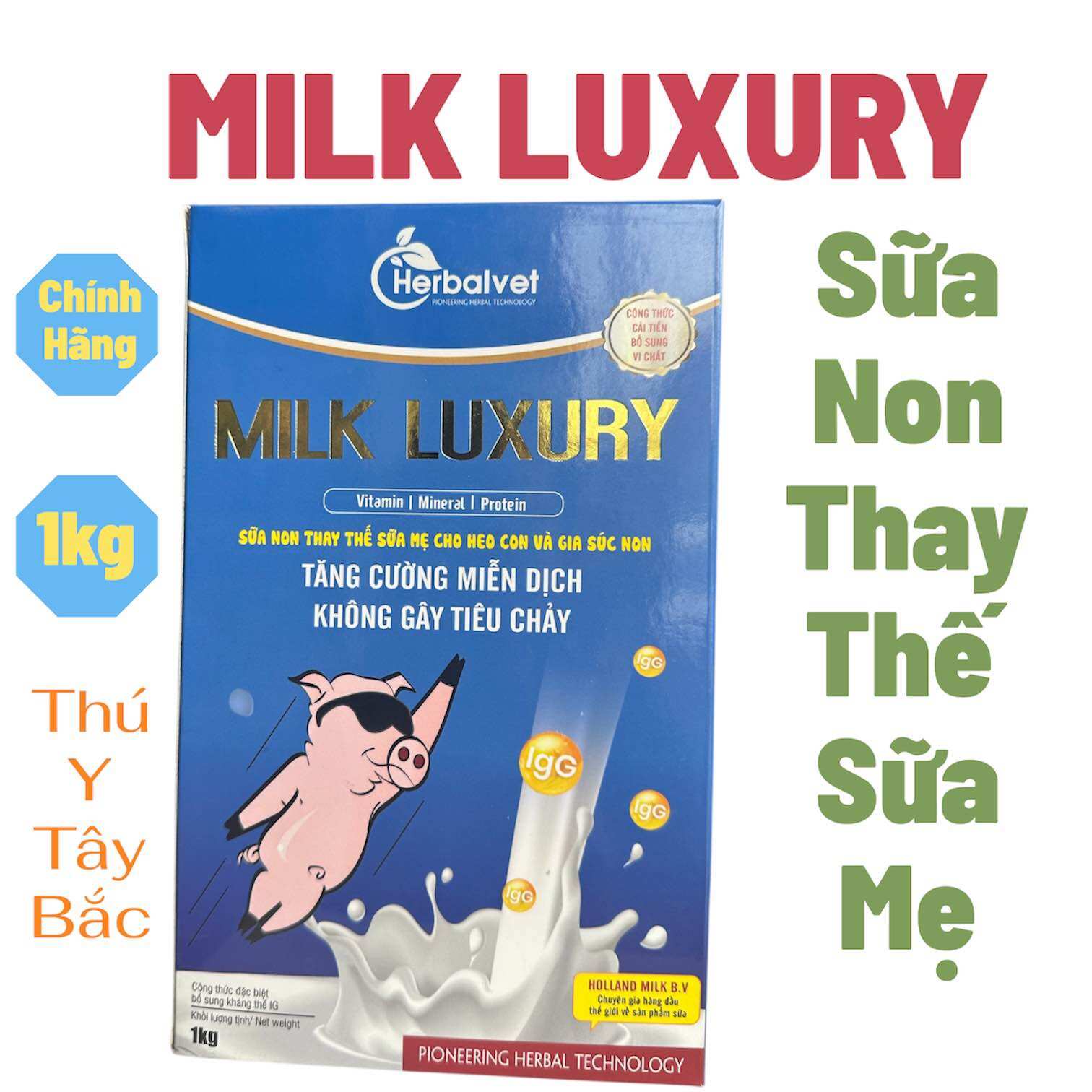 MILK LUXURY Sữa Non Thay Thế Sữa Mẹ cho trâu, bò, lợn Thú Y Tây Bắc