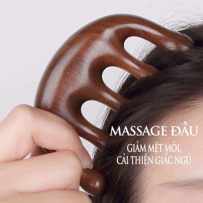 [Vitaminbear] Lược massage đả thông kinh lạc
