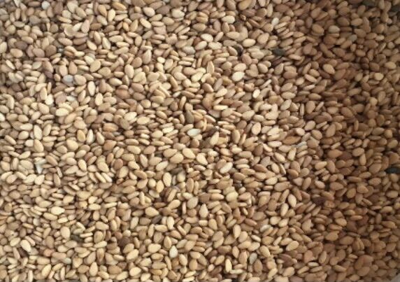 500gr Vừng (vỏ) vàng siêu sạch
