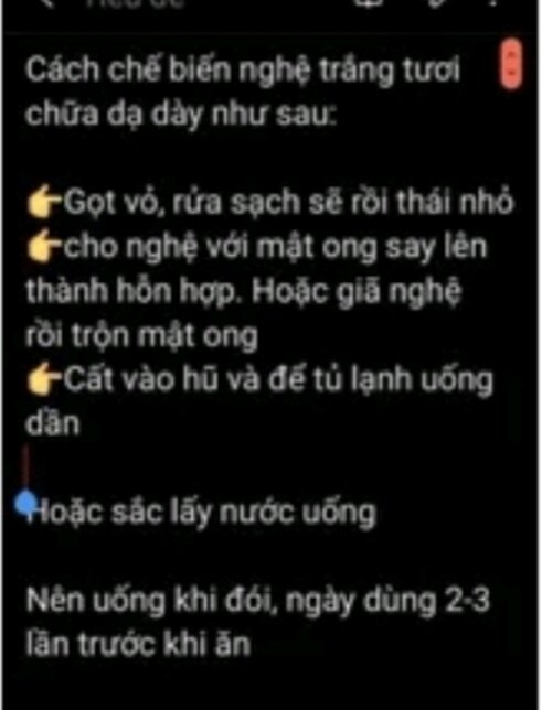 2Kg NGHỆ ĐỘC THÂN Rừng (Nghệ trắng Rừng)