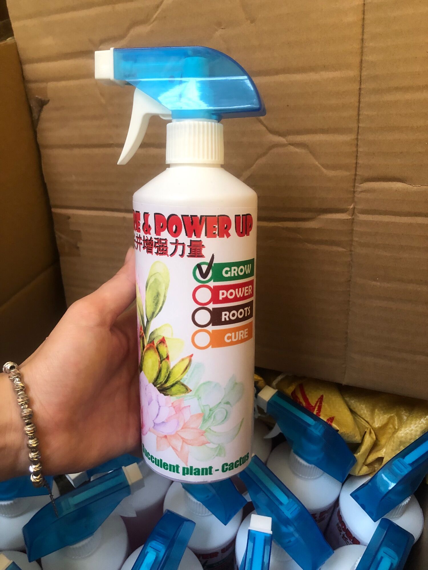 Dưỡng và chăm sóc sen đá Grow