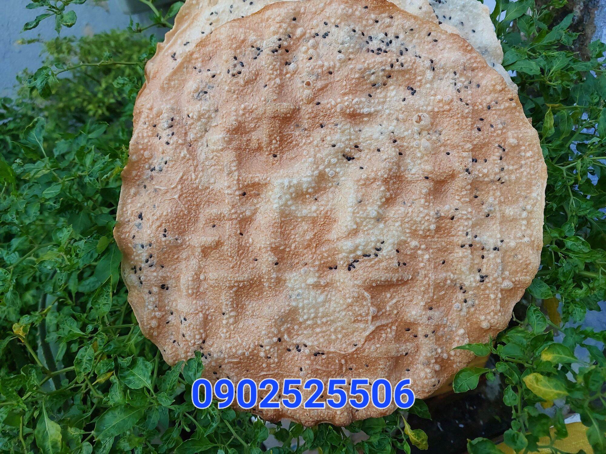 Bánh tráng gạo Quãng Ngãi(100 cái /1 bịch)