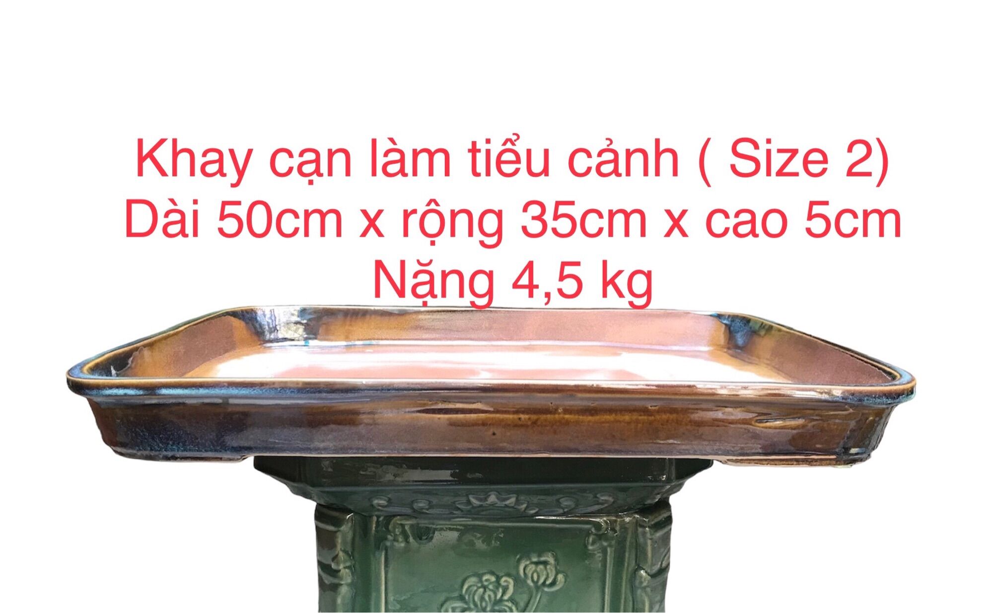 Ang, khay cạn làm tiểu cảnh