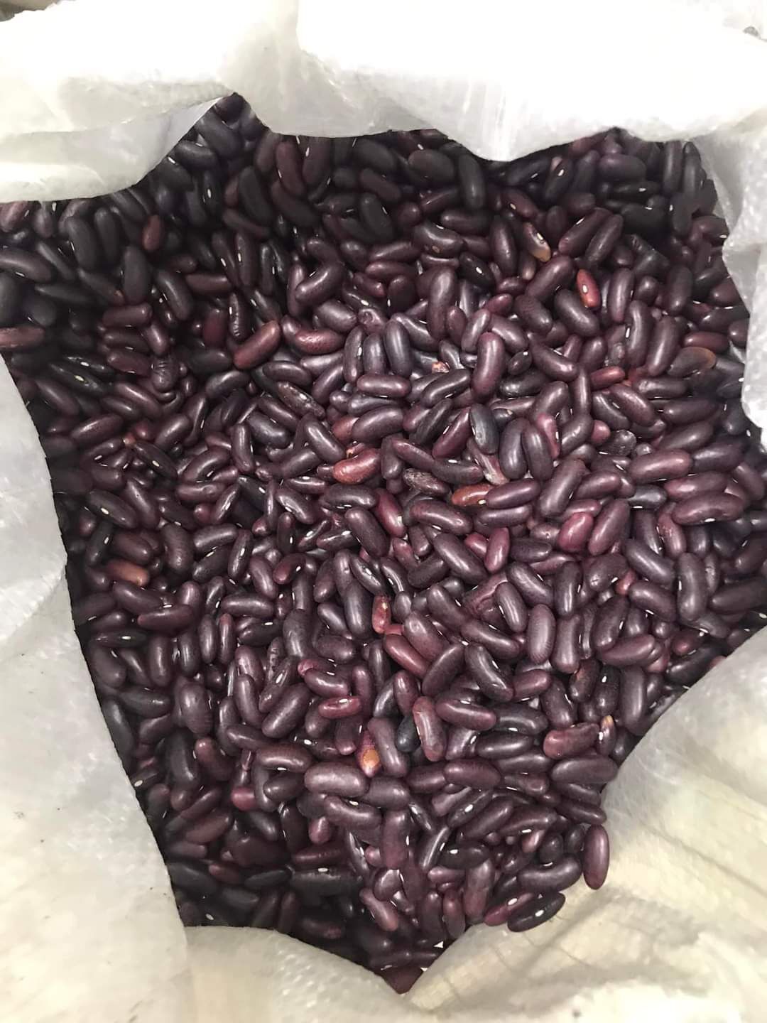 Đậu đỏ hạt to 1kg ( Hút chân không)