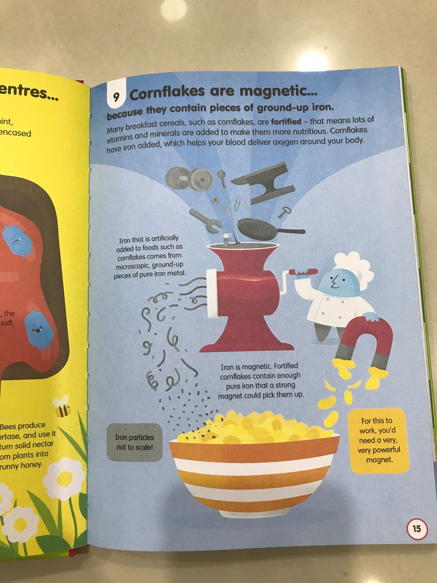 100 things to know about Food