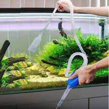 Ống bơm tay - thay nước hồ cá cảnh