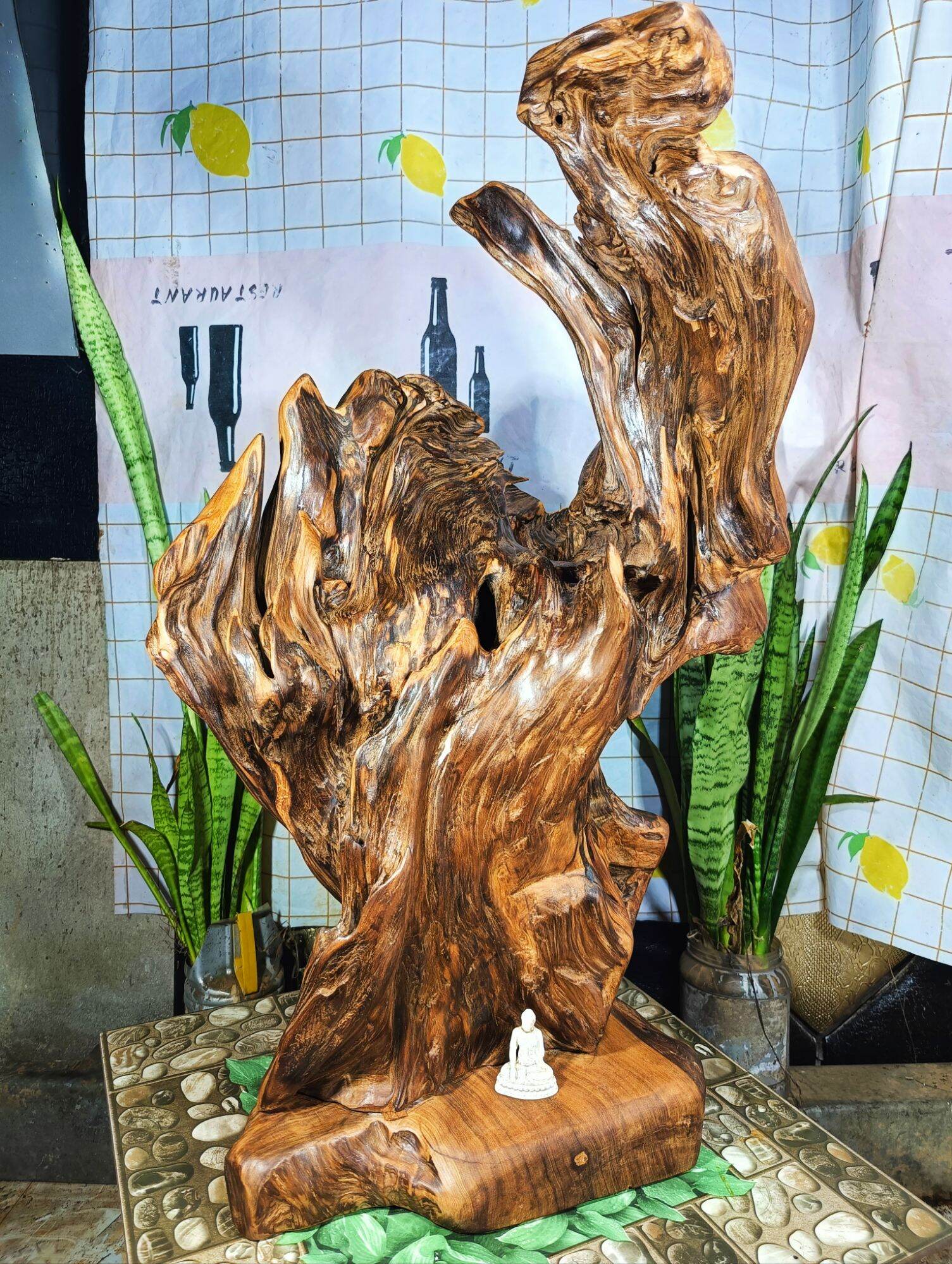 lũa gỗ thơm ngọc am đỏ hà giang