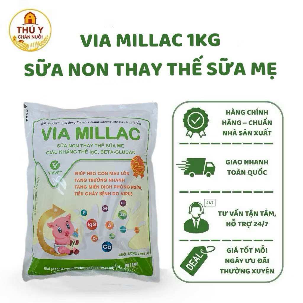 VIA MILIAC Sữa non thay thế sữa heo me có kháng thể IgG, Beta-1,6-Glucan, giúp hỗ trợ heo con mau lớn tăng trưởng nhanh, tăng miễn dịch phòng ngừa, tiêu chảy bệnh viêm đường hô hấp, tiêu hóa tốt.