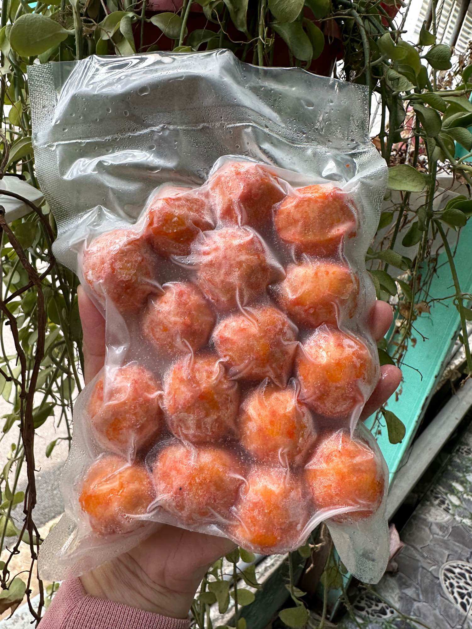 CÁ VIÊN NHÂN SỐT TÔM 200G