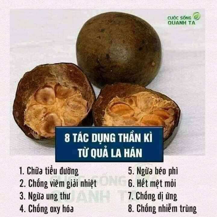 Combo 10 Quả La Hán  sấy khô ngọt.mát.
